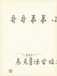哥哥弟弟 小说