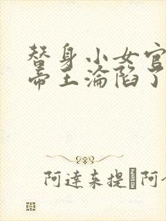 替身小女官腹黑帝王沦陷了江清慈全集阅读