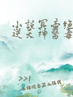 小说冥帝绝宠:逆天神医毒妃