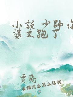小说 少帅你老婆又跑了