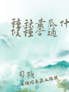 种秋黄瓜什么时候种合适