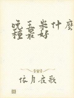 晚玉米什么时间种最好