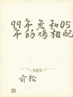 99年兔和05年的鸡相配吗