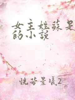 女主姓苏是律师的小说
