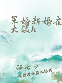 军婚新婚夜圆房太猛h