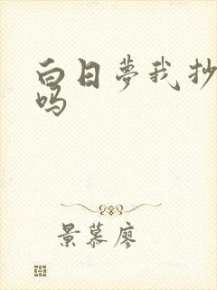 白日梦我抄袭了吗