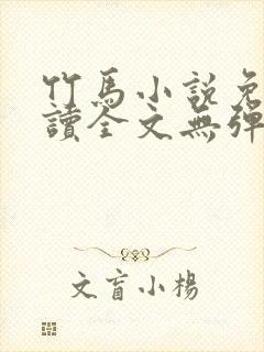 竹马小说免费阅读全文无弹窗