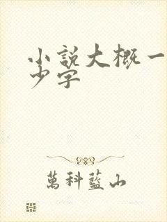 小说大概一篇多少字