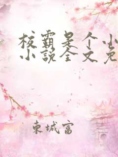 校霸是个小妖精小说全文免费阅读笔趣阁