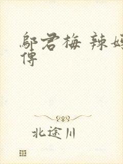邬君梅 辣妈正传