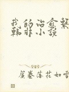 我的治愈系游戏韩非小说