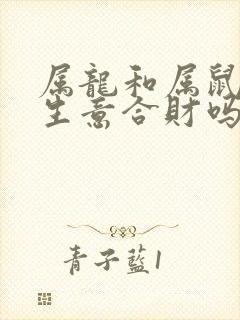 属龙和属鼠的做生意合财吗