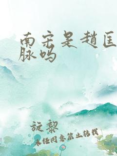 南宋是赵匡胤一脉吗