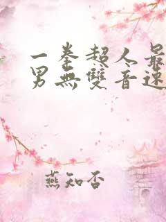 一拳超人最强之男无双音速索尼克