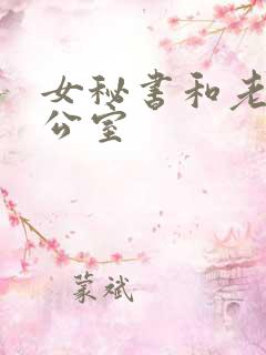 女秘书和老板办公室