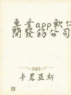 专业app软件开发的公司
