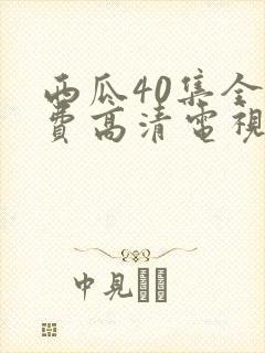 西瓜40集全免费高清电视剧