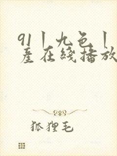 91丨九色丨国产在线播放