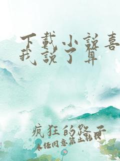 下载小说喜欢你我说了算