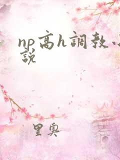 np高h调教小说