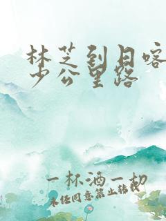 林芝到日喀则多少公里路