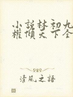 小说林初九医妃权倾天下全文免费阅读