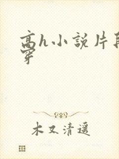 高h小说片段快穿