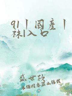 91丨国产丨丝袜|入口