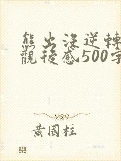 熊出没逆转时空观后感500字