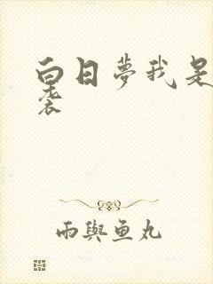 白日梦我是否抄袭