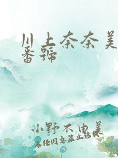 川上奈奈美作品番号