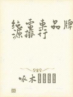 纯电车品牌新能源排行