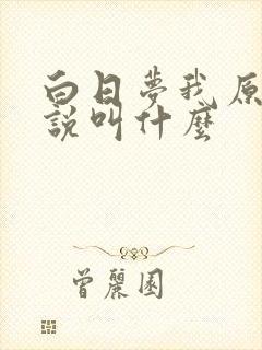 白日梦我原著小说叫什么