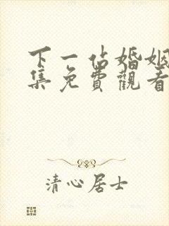 下一站婚姻34集免费观看电视剧