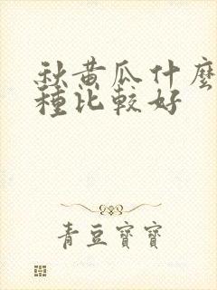 秋黄瓜什么时候种比较好