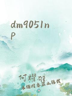 dm9051np