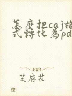 怎么把caj格式转化为pdf格式