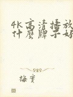 4k高清播放器什么牌子好