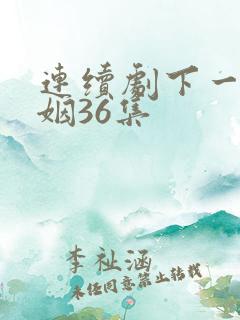 连续剧下一站婚姻36集