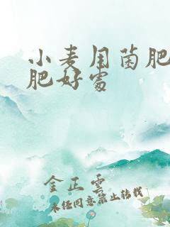 小麦用菌肥做底肥好处