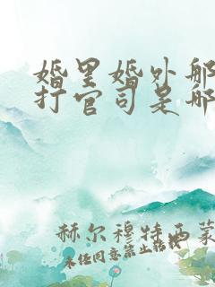 婚里婚外那些事打官司是哪一集