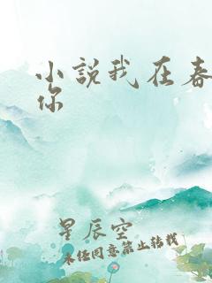 小说我在春天等你