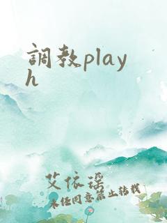 调教play h