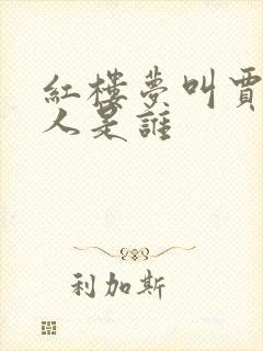 红楼梦叫贾丘的人是谁