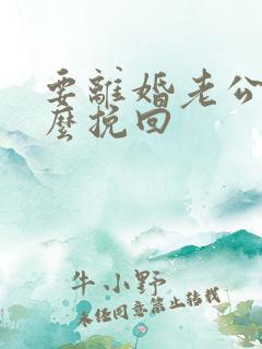 要离婚老公要怎么挽回