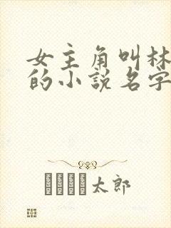 女主角叫林若曦的小说名字