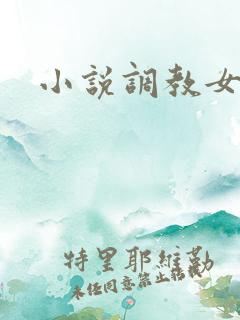 小说调教女神