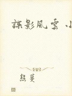 谍影风云 小说