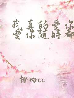 我真的爱你爱你爱你随时都要一起是什么歌
