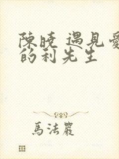 陈晓 遇见爱情的利先生